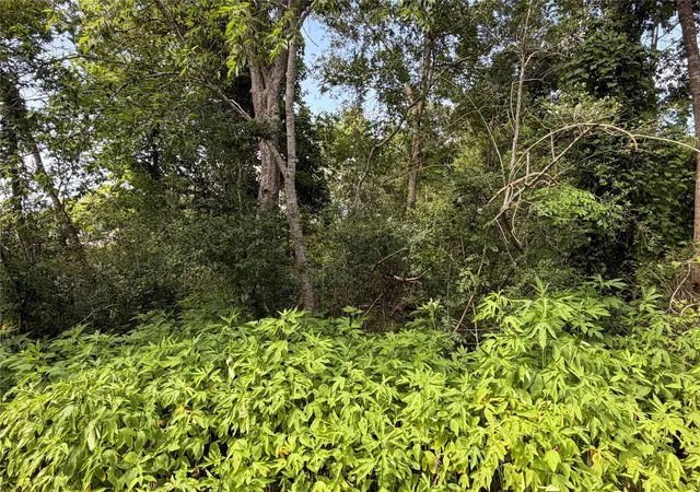 9th image of Lot 97 Lost Forest Dr, Guy, TX 77444 | MLS# 22321532