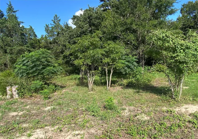 5th image of 571 Railroad St Rd, Somerville, TX 77879 | MLS# 71098853