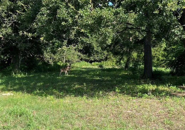 6th image of 571 Railroad St Rd, Somerville, TX 77879 | MLS# 71098853