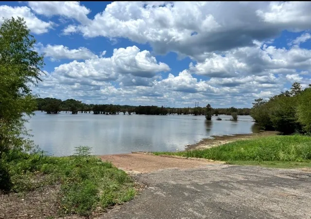 Homes for sale in Bronson, TX | 10343 Private Road 8012, Bronson, TX 75930 | MLS# 33504960