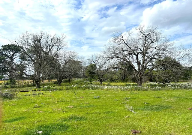 Photo 1 of Land for sale at 1900 Hluchan, Sealy, TX 77474 | MLS# 70076957 | Listing updated on 2026-08-13