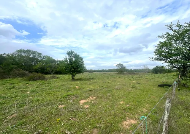 Photo 3 of Land for sale at 1900 Hluchan, Sealy, TX 77474 | MLS# 70076957 | Listing updated on 2026-08-13