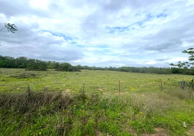 Photo 3 of Land for sale at 1900 Hluchan, Sealy, TX 77474 | MLS# 70076957 | Listing updated on 2026-08-13