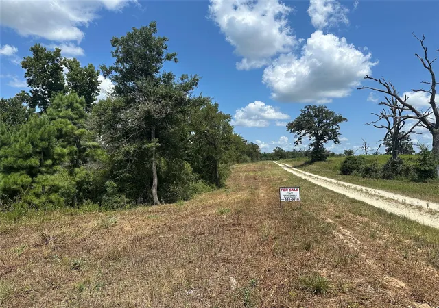 11th image of 000 County Road 322, Jewett, TX 75846 | MLS# 15638226