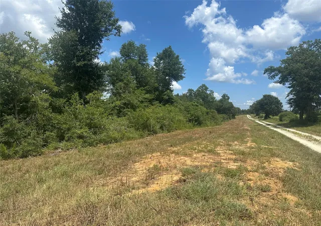 2nd image of 000 County Road 322, Jewett, TX 75846 | MLS# 15638226