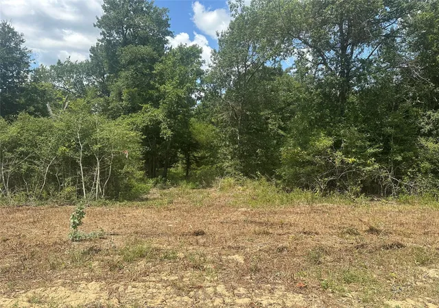 3rd image of 000 County Road 322, Jewett, TX 75846 | MLS# 15638226
