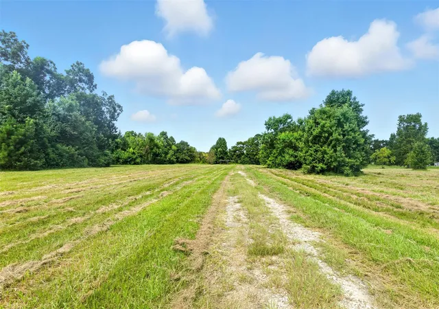 11th image of 19375 Hwy 321, Cleveland, TX 77327 | MLS# 70399210