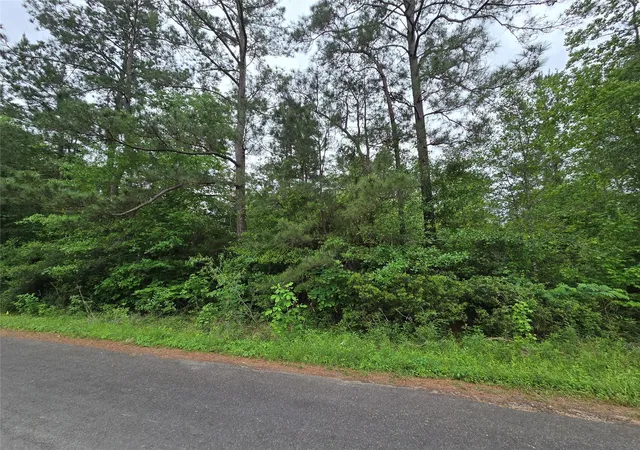 Land for sale at Tbd Eastepp Rd, Livingston, TX 77351 | MLS# 31369963