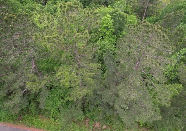 Photo 1 of Land for sale at Tbd Eastepp Rd, Livingston, TX 77351 | MLS# 31369963 | Listing updated on 2026-04-14