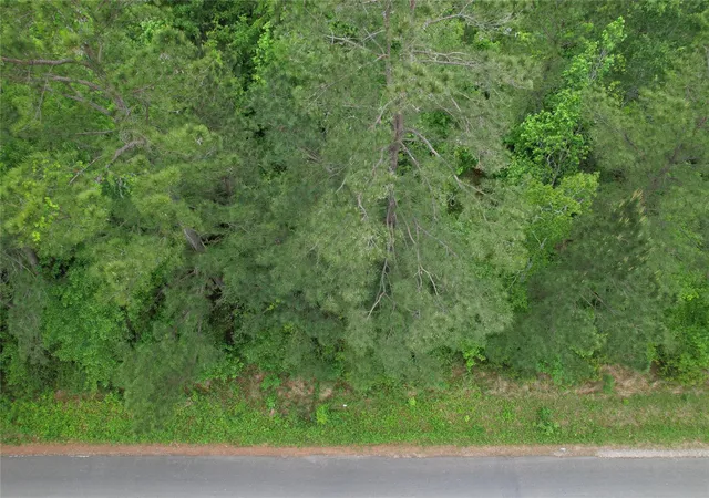 Photo 2 of Land for sale at Tbd Eastepp Rd, Livingston, TX 77351 | MLS# 31369963 | Listing updated on 2026-04-14