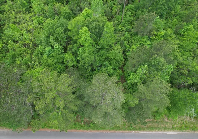 Photo 3 of Land for sale at Tbd Eastepp Rd, Livingston, TX 77351 | MLS# 31369963 | Listing updated on 2026-04-14