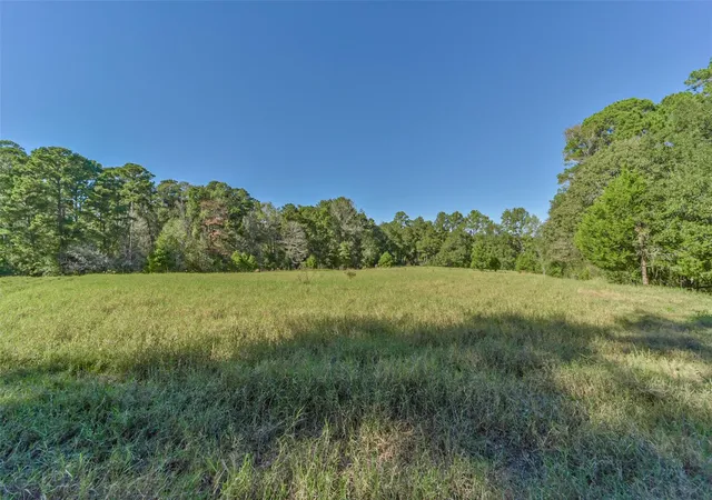 2nd image of 140 Little Road Loop, New Waverly, TX 77358 | MLS# 34939137