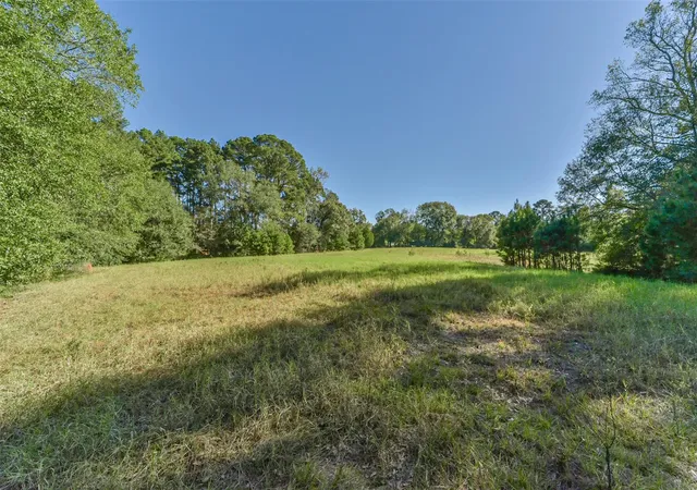 3rd image of 140 Little Road Loop, New Waverly, TX 77358 | MLS# 34939137