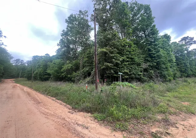 Photo 1 of Land for sale at 0 Patricia Dr, Livingston, TX 77351 | MLS# 87299931 | Listing updated on 2026-04-23