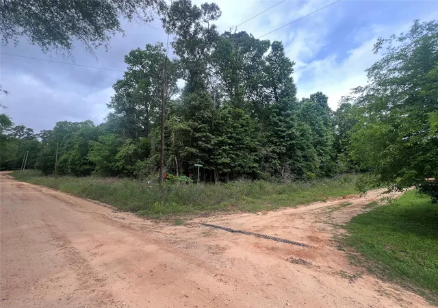 Photo 2 of Land for sale at 0 Patricia Dr, Livingston, TX 77351 | MLS# 87299931 | Listing updated on 2026-04-23