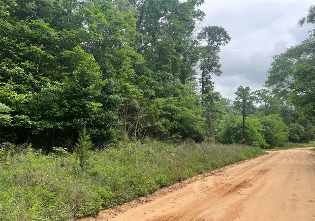 Photo 3 of Land for sale at 0 Patricia Dr, Livingston, TX 77351 | MLS# 87299931 | Listing updated on 2026-04-23