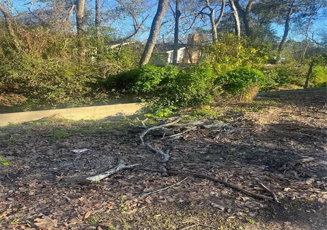 Photo 2 of Land for sale at 409 Wagers St, Conroe, TX 77301 | MLS# 72714759 | Listing updated on 2026-01-12