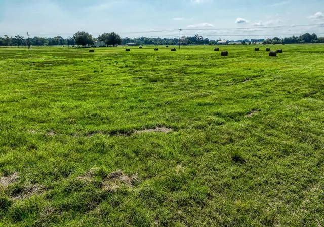 Homes for sale in Madisonville, TX | 31 Pee Dee Lane Lane, Madisonville, TX 77864 | MLS# 41130669