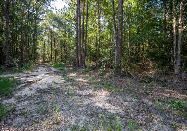 Photo 1 of Land for sale at Tbd Co Rd 3000, Woodville, TX 75979 | MLS# 21100364 | Listing updated on 2026-06-12