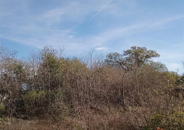 Photo 1 of Land for sale at 425 County Rd 5041, Cleveland, TX 77327 | MLS# 63500999 | Listing updated on 2026-09-27