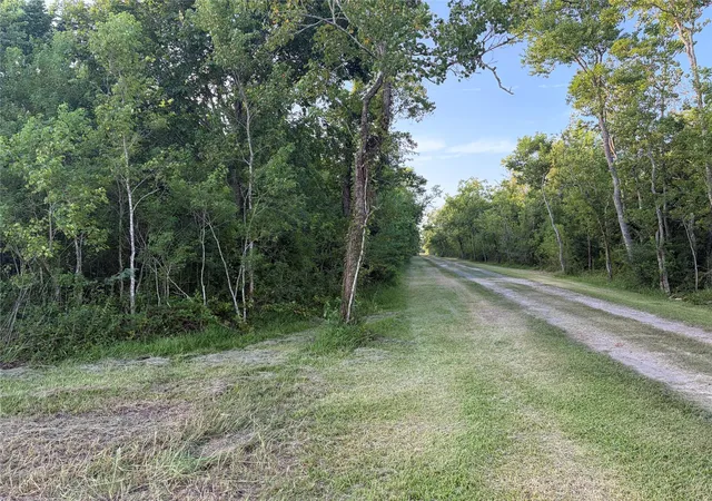 2nd image of Tbd Rice Rd, Texas City, TX 77539 | MLS# 69929446