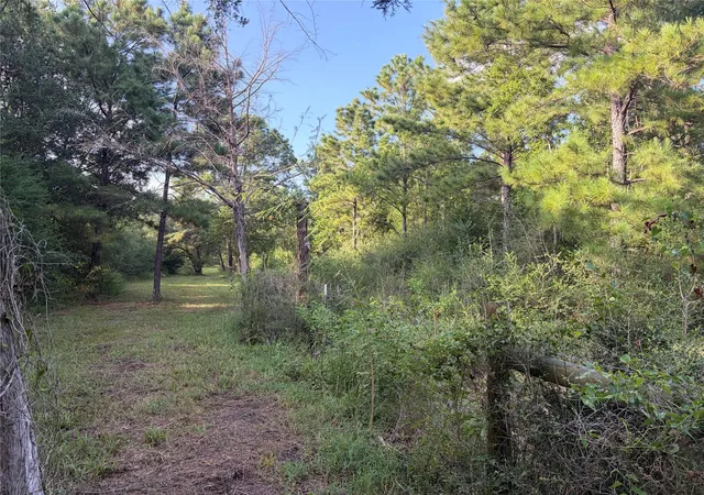 3rd image of Tbd Rice Rd, Texas City, TX 77539 | MLS# 69929446