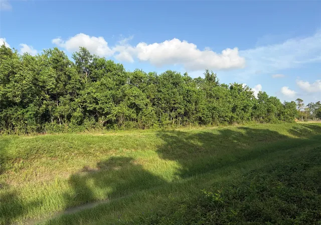 4th image of Tbd Rice Rd, Texas City, TX 77539 | MLS# 69929446