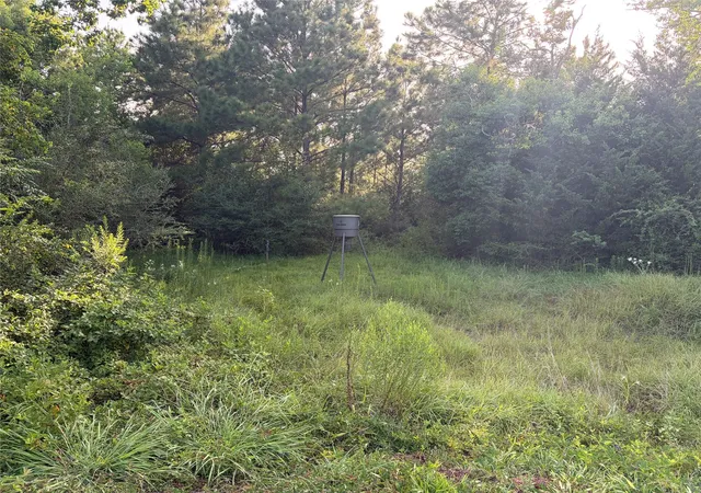 5th image of Tbd Rice Rd, Texas City, TX 77539 | MLS# 69929446