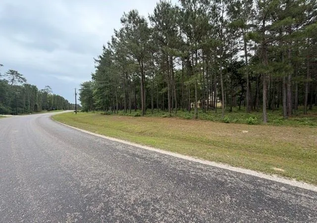 Photo 8 of Sale Pending at Tbd Texas Grand Rd, Huntsville, TX 77340 | MLS# 54664849 | Listing updated on 2026-08-23