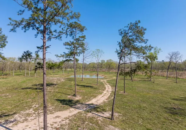1st image of Lot 6 Johnson Dr, Livingston, TX 77351 | MLS# 85772970