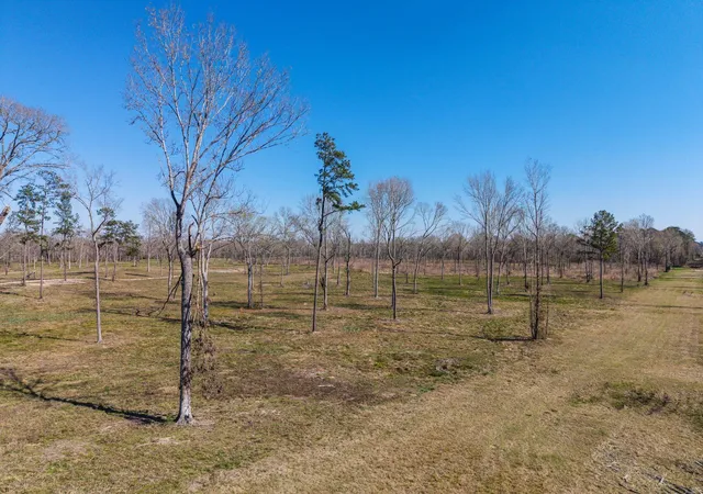 4th image of Lot 6 Johnson Dr, Livingston, TX 77351 | MLS# 85772970