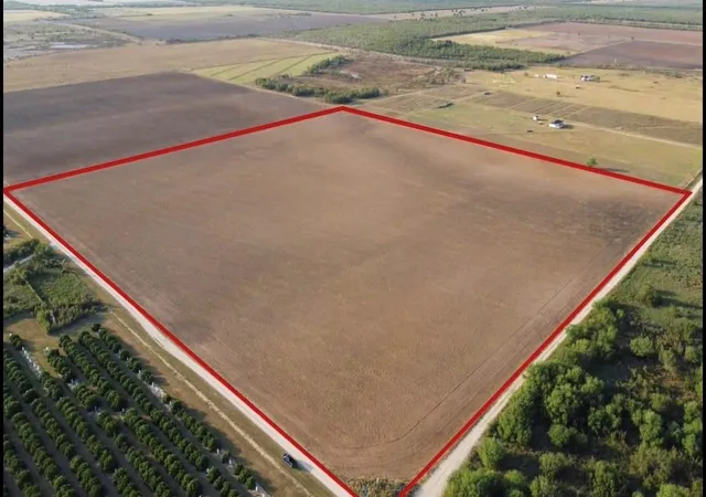 Homes for sale in Lasara, TX | 2900 County Road, Lasara, TX 78542 | MLS# 68714566