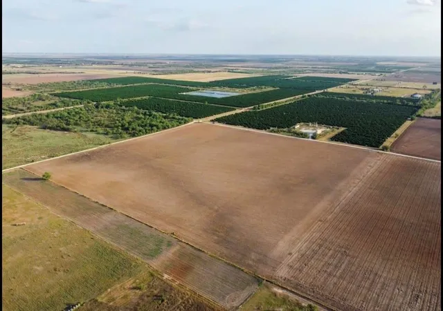 Homes for sale in Lasara, TX | 2900 County Road, Lasara, TX 78542 | MLS# 68714566