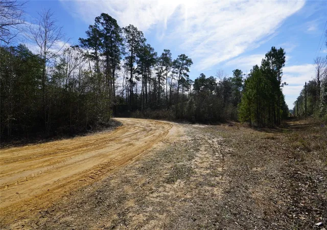 Photo 1 of Land for sale at Tbd Road 2638, Cleveland, TX 77327 | MLS# 29201956 | Listing updated on 2026-05-01