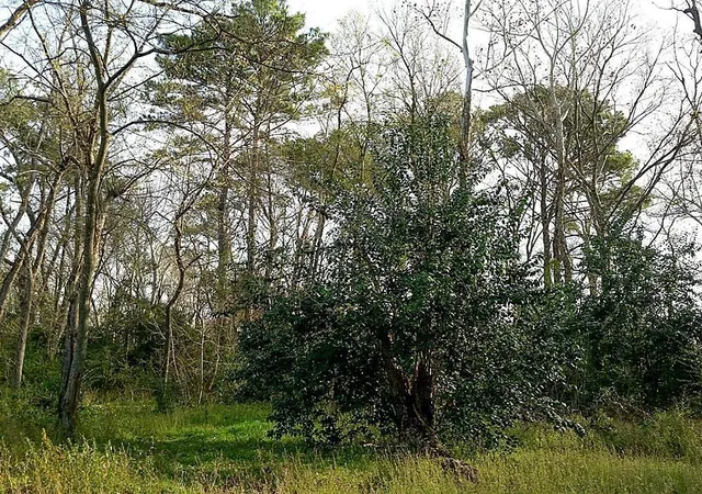 Land for sale at 1902 Dolly Wright St, Houston, TX 77088 | MLS# 18496434