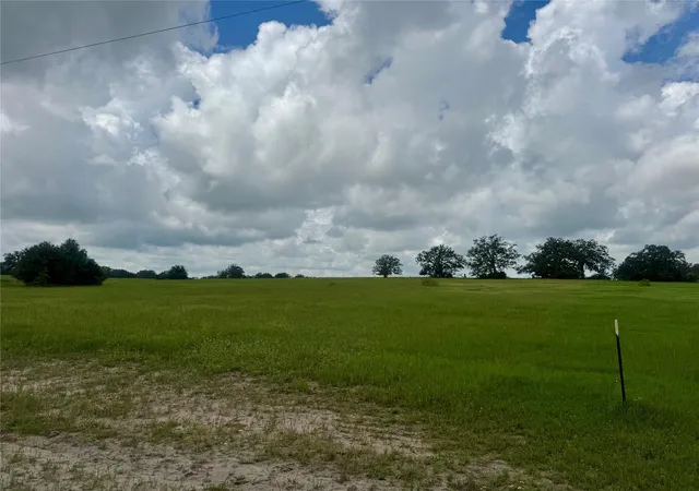 Homes for sale in Madisonville, TX | 1390 Connor Landing, Madisonville, TX 77864 | MLS# 16967732