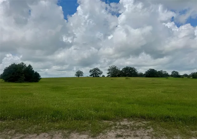 Homes for sale in Madisonville, TX | 1390 Connor Landing, Madisonville, TX 77864 | MLS# 16967732