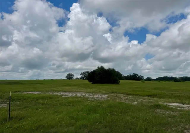 Homes for sale in Madisonville, TX | 1390 Connor Landing, Madisonville, TX 77864 | MLS# 16967732