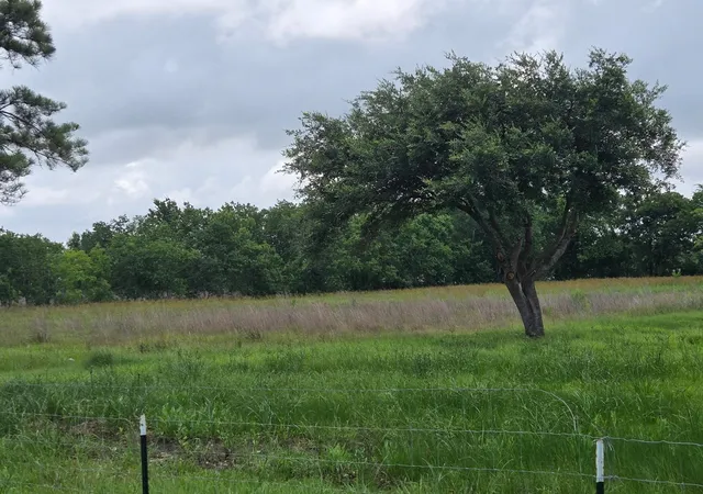 1st image of 8235 County Road 128, Alvin, TX 77511 | MLS# 8939995