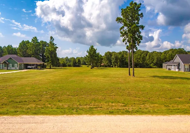 1st image of 350 Brushy Creek Dr, Onalaska, TX 77360 | MLS# 81955624