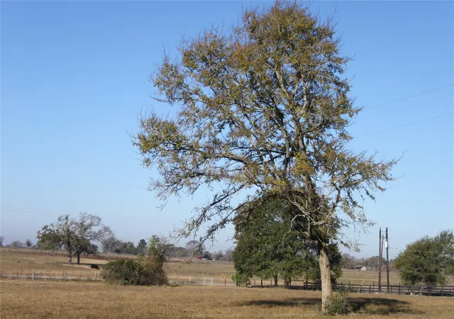 2nd image of 27134 Muckelroy Rd, Hempstead, TX 77445 | MLS# 76572435