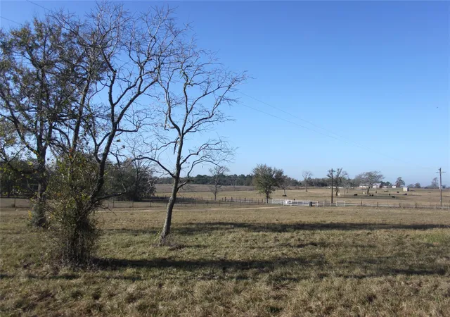 5th image of 27134 Muckelroy Rd, Hempstead, TX 77445 | MLS# 76572435