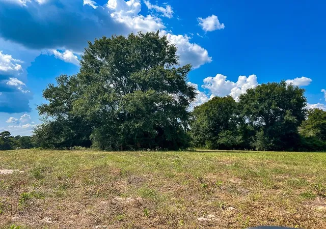 Photo 1 of Sale Pending at 1957 County Rd 155, Bedias, TX 77831 | MLS# 24601338 | Listing updated on 2026-09-02