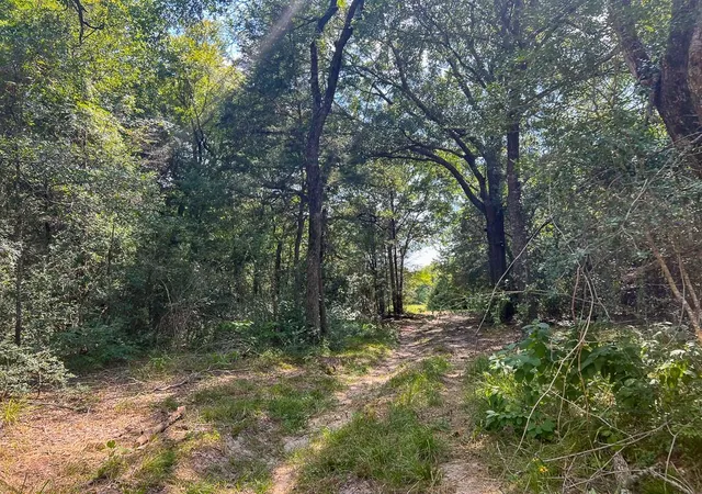Photo 2 of Sale Pending at 1957 County Rd 155, Bedias, TX 77831 | MLS# 24601338 | Listing updated on 2026-09-02