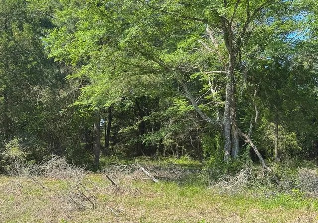 Photo 4 of Sale Pending at 1957 County Rd 155, Bedias, TX 77831 | MLS# 24601338 | Listing updated on 2026-09-02