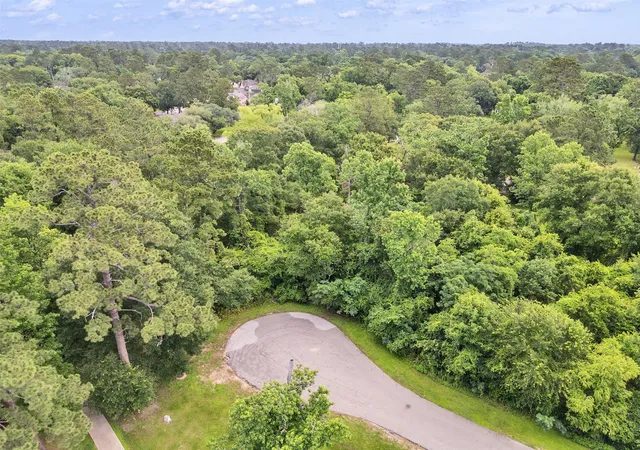 Homes for sale in Conroe, TX | 127 Butlers Island St, Conroe, TX 77302 | MLS# 29475875