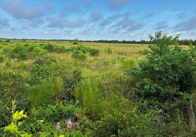 15th image of 0 Katy Hockley Rd, Katy, TX 77493 | MLS# 55425917