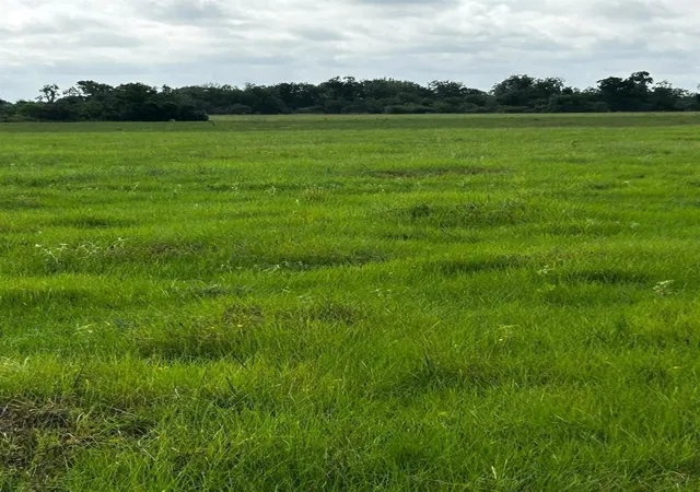 5th image of 0 Katy Hockley Rd, Katy, TX 77493 | MLS# 55425917