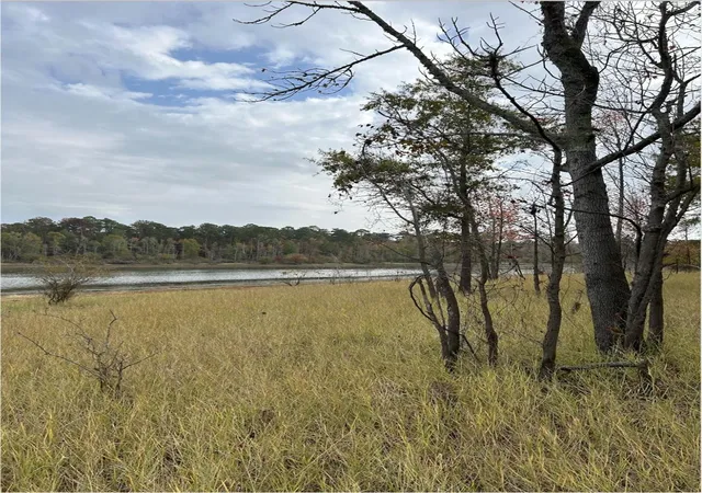 10th image of 00 Fm 705, Broaddus, TX 75929 | MLS# 2498192