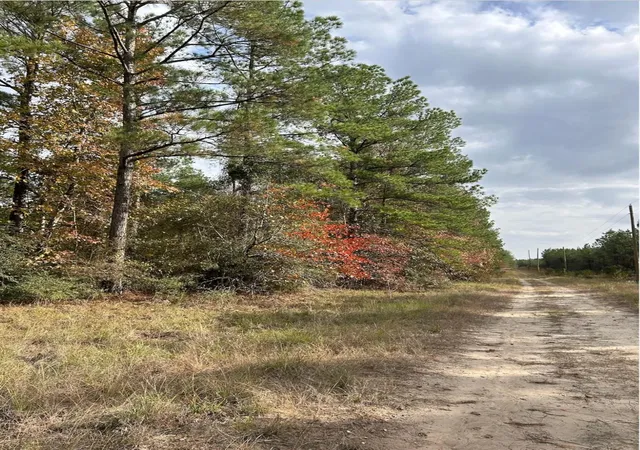 Photo 3 of Land for sale at 00 Fm 705, Broaddus, TX 75929 | MLS# 2498192 | Listing updated on 2026-07-25